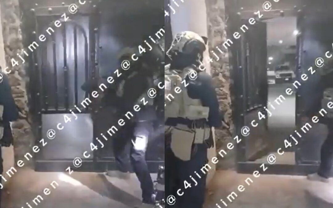 Nacen Perros Durante un Operativo en Xochimilco: Hallan Armamento y Drogas del Cártel de Sinaloa